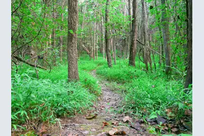 7046 Holts Store Road, Burlington, NC 27215 - Photo 20