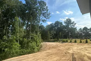 250 Rising Star Dr Dr, Clayton, NC 27520 - Photo 18