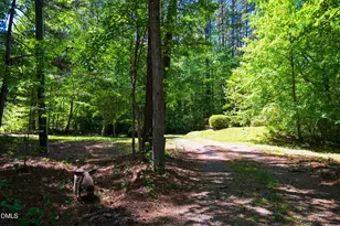 174 Woodberry Forest, Pittsboro, NC 27312 - Photo 50