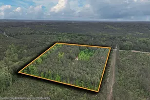 412 County Home Rd, Warrenton, NC 27589 - Photo 46