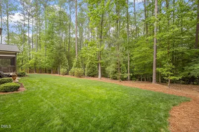4203 Henderson Place, Pittsboro, NC 27312 - Photo 46