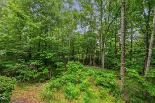 314 Bridgegate Dr, Cary, NC 27519 - Photo 46