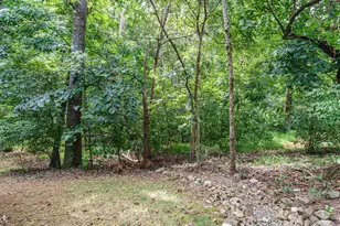 24 Cynthia Ln, Pittsboro, NC 27312 - Photo 30