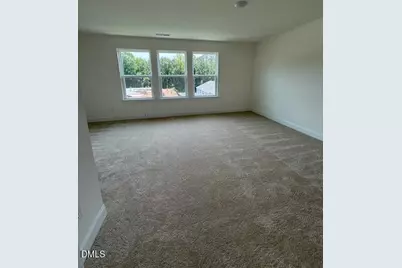 222 Alberta Drive, Franklinton, NC 27525 - Photo 14