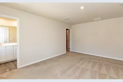 152 Bird Dog Drive, Angier, NC 27501 - Photo 16