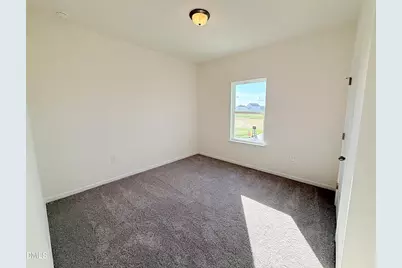 308 Spirit Springs Road, Smithfield, NC 27577 - Photo 18