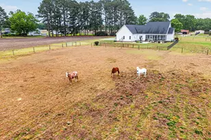 773 Davis Mill Rd, Fremont, NC 27830 - Photo 6