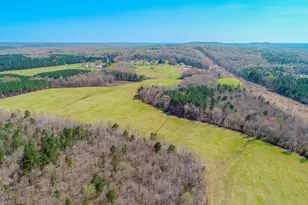 1001 Charlie Reade, Timberlake, NC 27583 - Photo 46