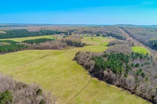 1001 Charlie Reade, Timberlake, NC 27583 - Photo 14