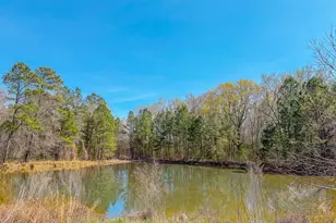 1001 Charlie Reade, Timberlake, NC 27583 - Photo 18