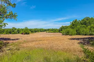 1001 Charlie Reade, Timberlake, NC 27583 - Photo 54