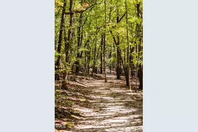 61 Shay Street, Angier, NC 27501 - Photo 68
