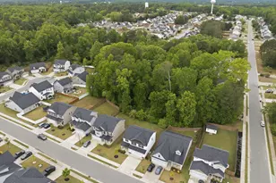 32 Chris Todd Wy, Angier, NC 27501 - Photo 68