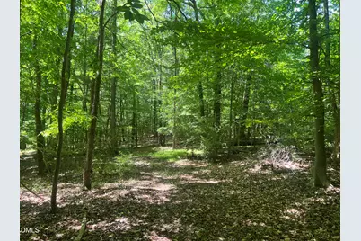 0 Jones Ferry Road, Chapel Hill, NC 27516 - Photo 4