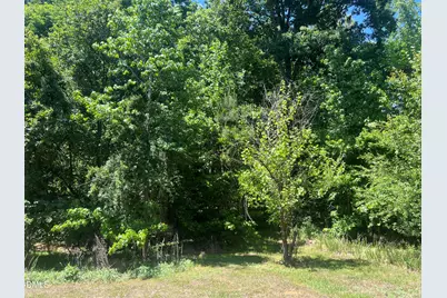 0 Jones Ferry Road, Chapel Hill, NC 27516 - Photo 2