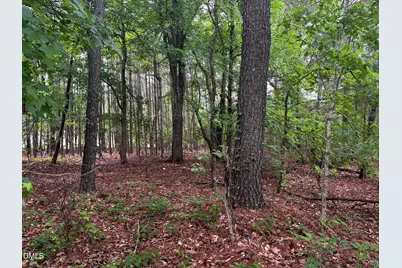 00 Bearpond Road, Henderson, NC 27537 - Photo 4