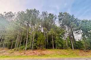 Tbd Alston Horton Service Rd, Pittsboro, NC 27312 - Photo 1