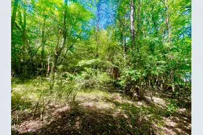 0 N Nc-119, Mebane, NC 27302 - Photo 2