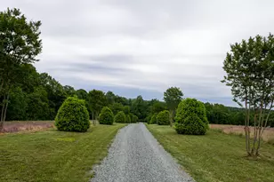 1110 Pleasant Hill Church Rd, Siler City, NC 27344 - Photo 86