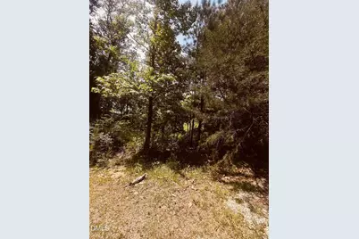 9224 Eisenhower Drive, Apex, NC 27539 - Photo 8