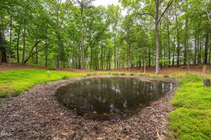 298 Forest Ln, Pittsboro, NC 27312 - Photo 46