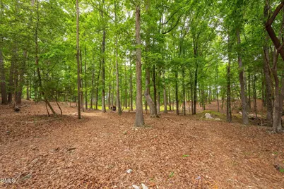 298 Forest Lane, Pittsboro, NC 27312 - Photo 44
