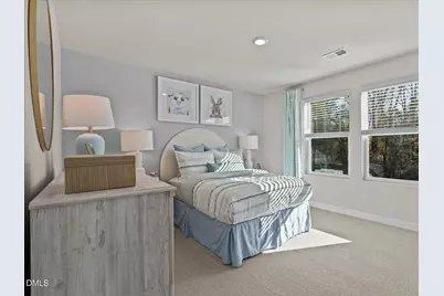 50 Thistle Patch Place, Angier, NC 27501 - Photo 20