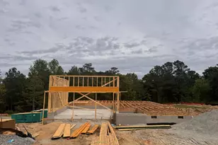 118 Colorado Ct, Spring Lake, NC 28390 - Photo 4