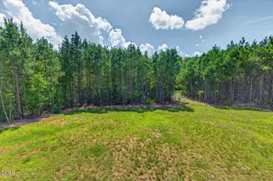 490 Terry Rd, Hillsborough, NC 27278 - Photo 44