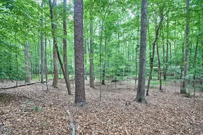 1311 Tallyho Trail, Chapel Hill, NC 27516 - Photo 56