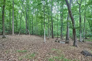 1311 Tallyho Trail, Chapel Hill, NC 27516 - Photo 54