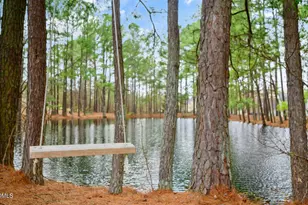 503 Homestead Park Dr, Apex, NC 27502 - Photo 18