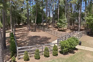 236 Congaree Dr, Holly Springs, NC 27540 - Photo 42