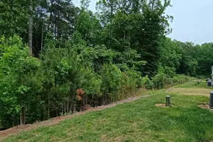 918 Green St, Franklinton, NC 27525 - Photo 20