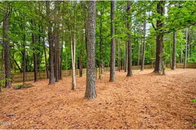 145 Oak Leaf Trail, Youngsville, NC 27596 - Photo 42