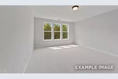 808 Diana Victoria Court, Wendell, NC 27591 - Photo 6
