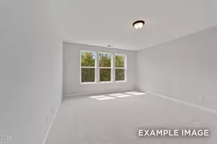 808 Diana Victoria Ct, Wendell, NC 27591 - Photo 6