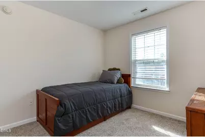 120 Carolina Town Lane, Holly Springs, NC 27540 - Photo 20