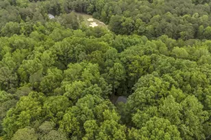 140 Holly Ln, Sanford, NC 27332 - Photo 56