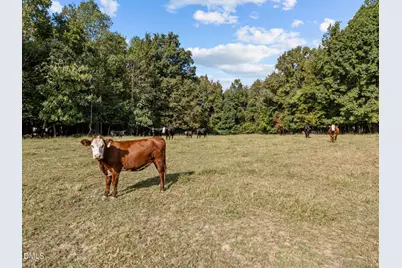 9400 Wheelers Church Road, Cedar Grove, NC 27541 - Photo 78