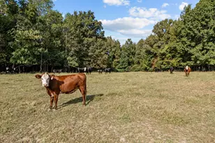 9400 Wheelers Church Rd, Cedar Grove, NC 27541 - Photo 78
