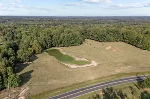 9400 Wheelers Church Rd, Cedar Grove, NC 27541 - Photo 76