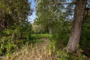 9400 Wheelers Church Rd, Cedar Grove, NC 27541 - Photo 88