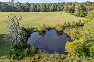 9400 Wheelers Church Rd, Cedar Grove, NC 27541 - Photo 70