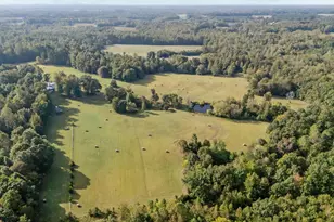 9400 Wheelers Church Rd, Cedar Grove, NC 27541 - Photo 80