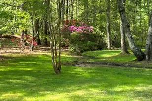 4008 Blackard Pond Rd, Raleigh, NC 27604 - Photo 52