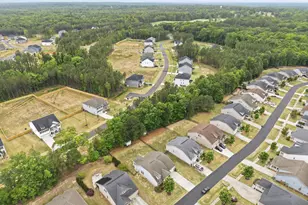 135 Olde Liberty Dr, Youngsville, NC 27596 - Photo 34