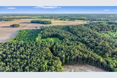 0 Pendergrass Drive, Princeton, NC 27569 - Photo 2