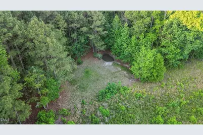 0 Pendergrass Drive, Princeton, NC 27569 - Photo 6