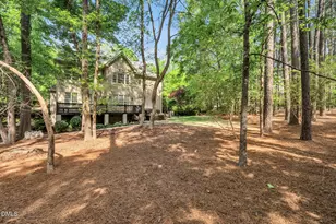 10002 Adirondack Way, Chapel Hill, NC 27517 - Photo 48